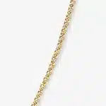 Rolo Chain in 14k gold PVD, view 2